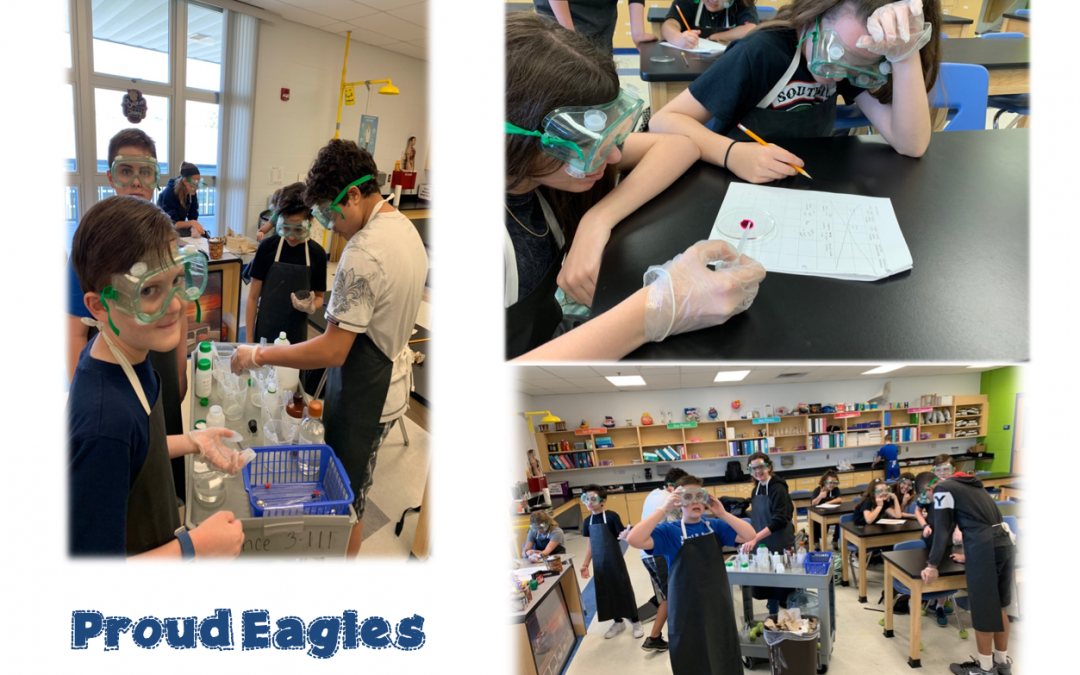 Our Eagles SOAR!